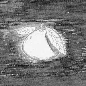 Left up on the Tree - Dylan Fujioka