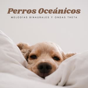 Cola De Perros Oceánicos: Melodías Binaurales Y Ondas Theta - Movimientos Binaurales