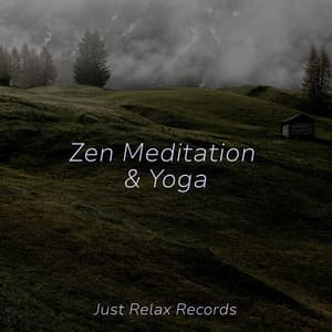 Zen Meditation & Yoga - Meditation Relaxation Club
