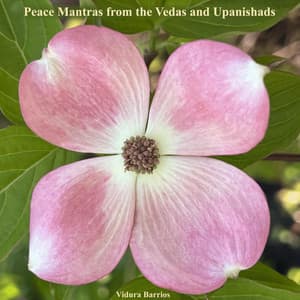 Peace Mantras from the Vedas and Upanishads - Vidura Barrios