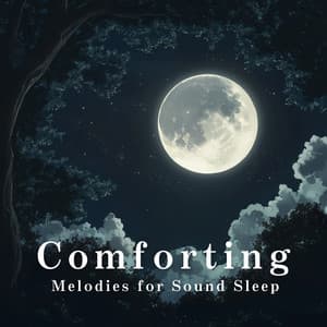 Comforting Melodies for Sound Sleep - Relaxing BGM Project