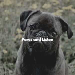 Paws and Listen - Mellow Jazz Playlist