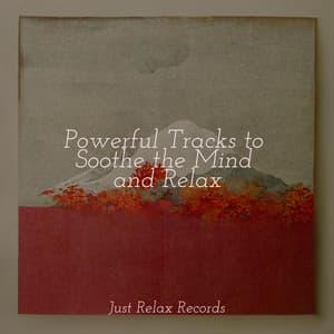 Powerful Tracks to Soothe the Mind and Relax - Musica para Meditar