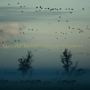 Melodic Reflections in Stillness - Lumenis