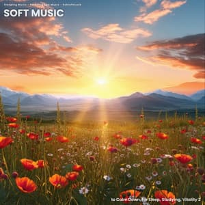 Soft Music to Calm Down, for Sleep, Studying, Vitality 2 - Sleeping Music