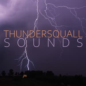 Thundersquall Sounds: Effective Study, Deep Sleep, Stress Relieving Relaxation - Close to Nature Music Ensemble
