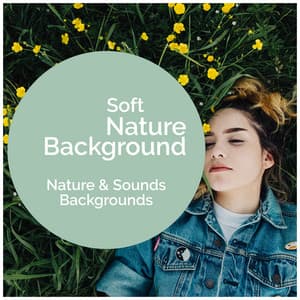Soft Nature Background - Nature Sounds & Backgrounds
