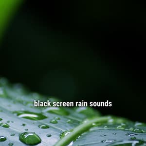 black screen rain sounds - Lightning, Thunder and Rain Storm
