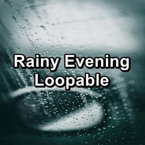 Rainy Evening Loopable - Rain