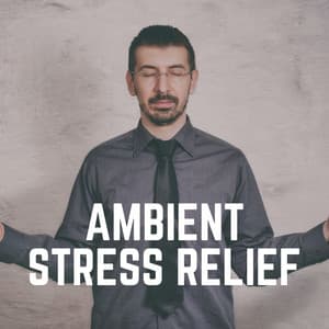 Ambient Stress Relief - New Age