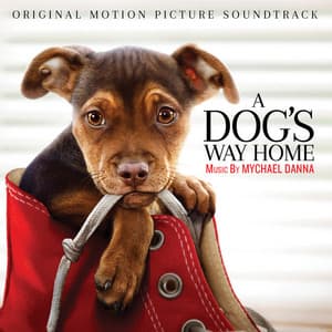 A Dog's Way Home - Mychael Danna