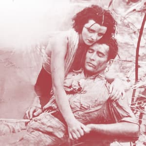 Cane Fire - Mike Cooper