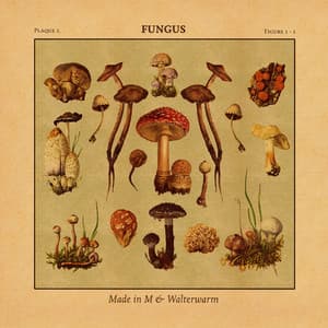 Fungus - Made in M