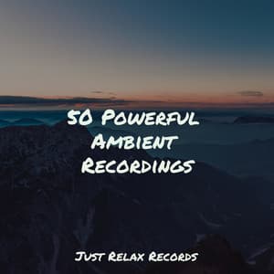 50 Powerful Ambient Recordings - Meditation Awareness