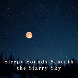 Sleepy Sounds Beneath the Starry Sky - Relax α Wave