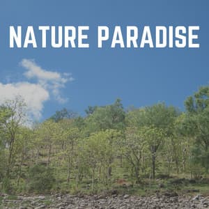 Nature Paradise - Nature Ambience