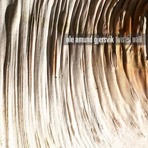 Twisted Walk - Ole Amund Gjersvik