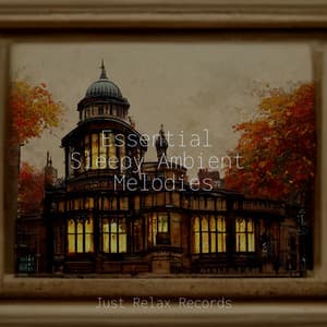 Essential Sleepy Ambient Melodies - Reiki Music