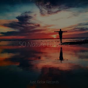 50 Nature Lullabies - Música ambiental relajante