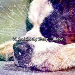 40 Ambiently Sleep Lullaby - Pet Relax Academy
