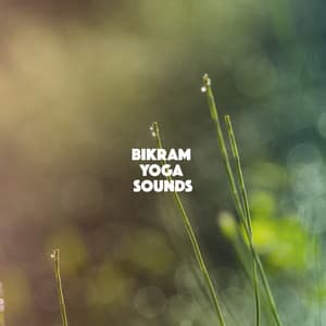 Bikram Yoga Sounds - Relaxation And Meditation