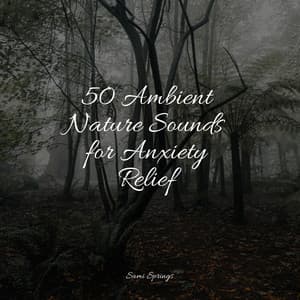 50 Ambient Nature Sounds for Anxiety Relief - The White Noise Zen & Meditation Sound Lab
