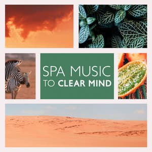 Spa Music to Clear Mind: Buddha Oriental Spa, Tai chi Nature Sounds, Relaxing New Age, Sunset Yoga, Mindfulness Journey - Relaxing Nature Sounds Collection