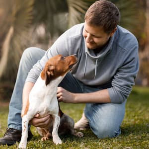 Ambient Bonding Magic: Ocean's Dog Comfort - Ocean Makers