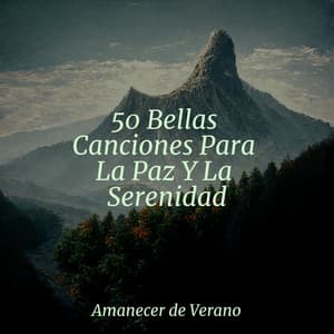 50 Bellas Canciones Para La Paz Y La Serenidad - New Age