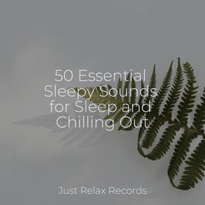 50 Essential Sleepy Sounds for Sleep and Chilling Out - Ambient