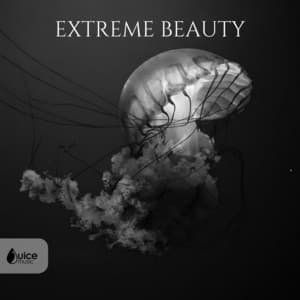 Extreme Beauty - John Rowcroft