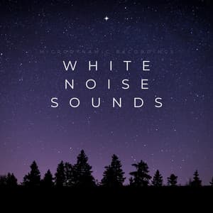 White Noise Sounds - Microdynamic Recordings