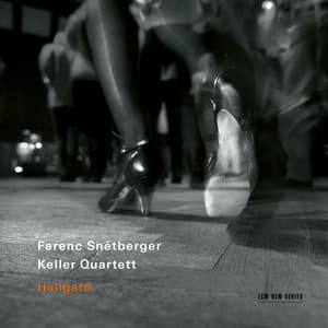 Hallgató - Ferenc Snétberger