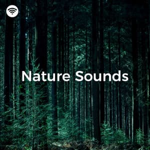 Nature Sound: Tranquil Escape - Organic Nature Sounds