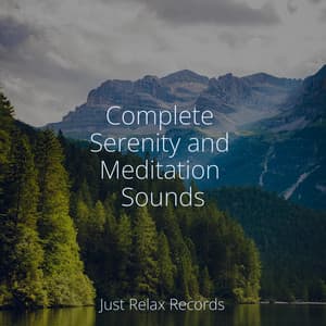 Complete Serenity and Meditation Sounds - Happy Baby Lullaby Collection