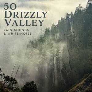 50 Drizzly Valley - Rain Sounds & White Noise