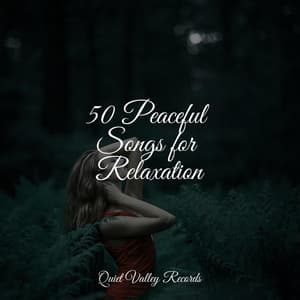 50 Peaceful Songs for Relaxation - Nature Ambience
