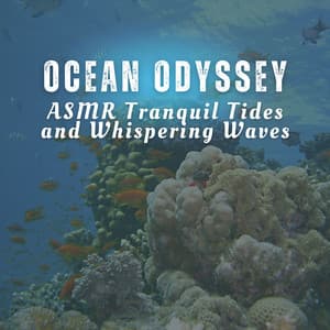 Ocean Odyssey: ASMR Tranquil Tides and Whispering Waves - Spirits Of Our Dreams
