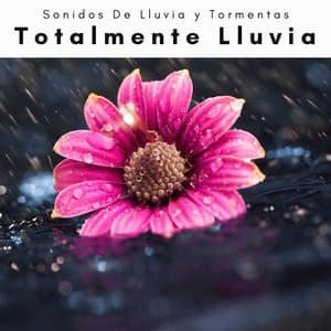 A h o r a: Totalmente Lluvia - Sonidos De Lluvia y Tormentas