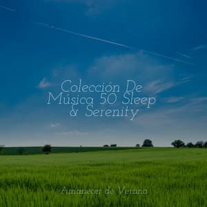 Colección De Música 50 Sleep & Serenity - Relaxing Music