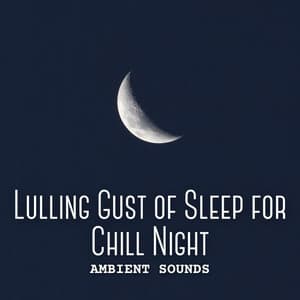Ambient Sounds: Lulling Gust of Sleep for Chill Night - Weather Sounds