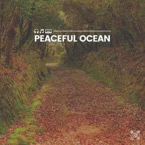 Peaceful Ocean - Ocean Sounds