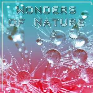 Wonders of Nature - Sounds of Nature, Help in Stress, Strong Rain, Best Rest, Under a Blanket at the Fireplace - Relaxing Sounds Of Nature