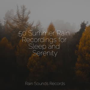 50 Summer Rain Recordings for Sleep and Serenity - Brain Study Music Guys