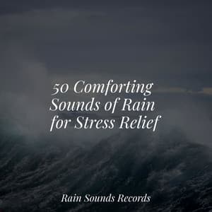 50 Comforting Sounds of Rain for Stress Relief - Forest Sounds