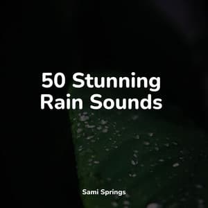 50 Stunning Rain Sounds - Ambient Arena