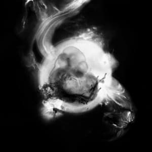 Saffronkeira - SaffronKeira