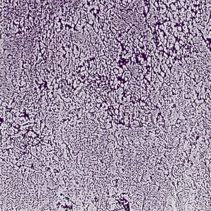 Multifactorial Dynamic Pathways - The Haters