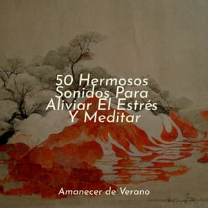 50 Hermosos Sonidos Para Aliviar El Estrés Y Meditar - Baby Lullaby