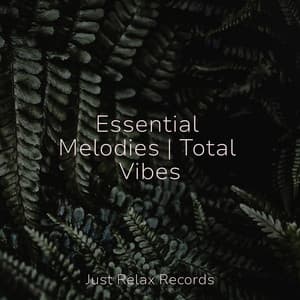 Essential Melodies | Total Vibes - Chakra Balancing Sound Therapy